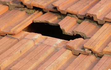 roof repair Biscombe, Somerset